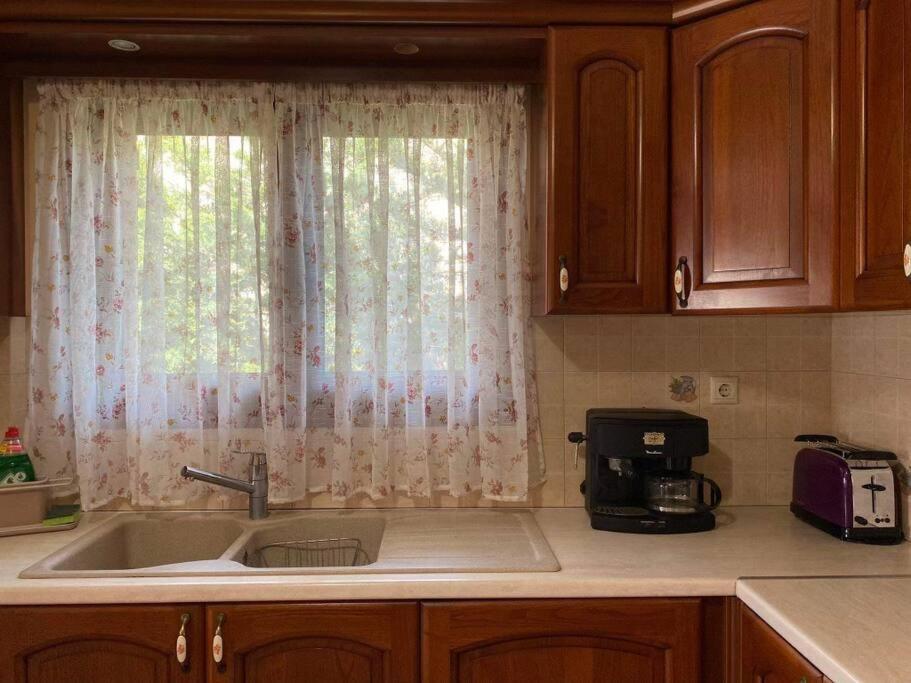 Apartament Helen'S House Paleros Zewnętrze zdjęcie